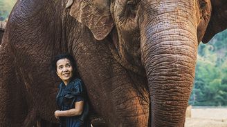 Saengduean „Lek“ Chailert: Lidé se chtějí bavit – i na úkor zvířat Saengduean „Lek“ Chailert: Lidé se chtějí bavit – i na úkor zvířat