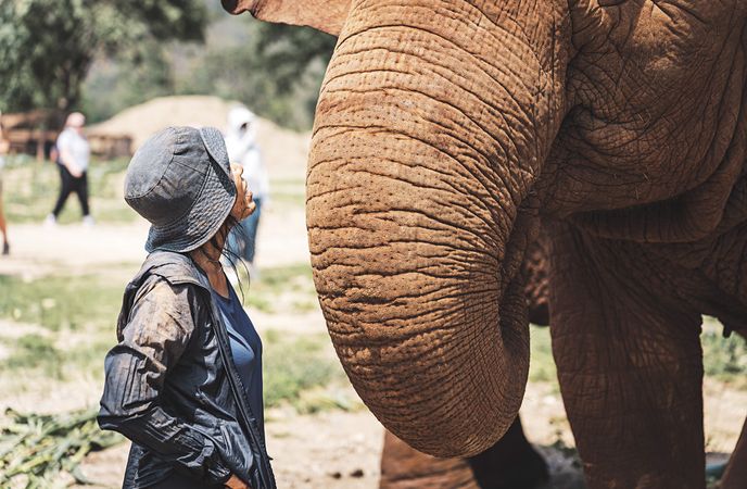 Turismus si s dřevařstvím v přístupu ke slonům v ničem nezadá Turismus si s dřevařstvím v přístupu ke slonům v ničem nezadá
