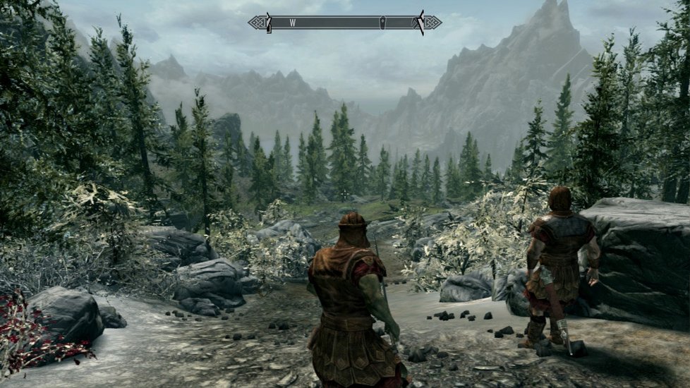 Konverze The Elder Scrolls V: Skyrim pro Nintendo Switch se skutečně povedla.