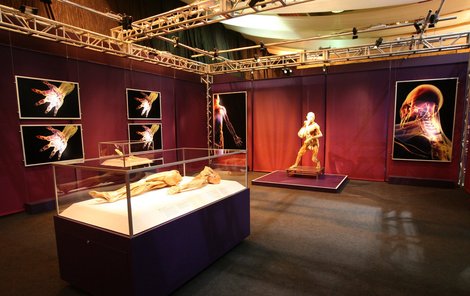 Výstava je rozdělena celkem do devíti ucelených expozic.