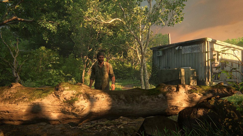 The Last of Us Part I pro PlayStation 5