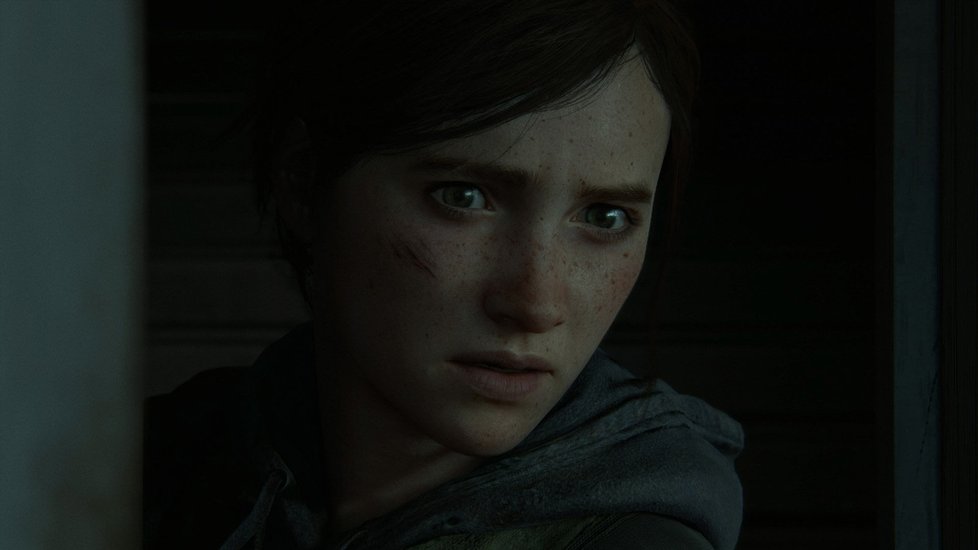 The Last of Us Part 2 pro PlayStation 4