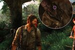 The Last of Us Remastered je hezčí verze takřka dokonalé hry.