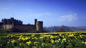 Na hradě Alnwick v Northumberlandu se nachází nejsmrtonosnější zahrada ve Velké Británii.