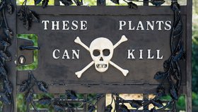 Zahrada v "The Poison Garden" je jedna z nejnebezpečnějších zahrad na světě