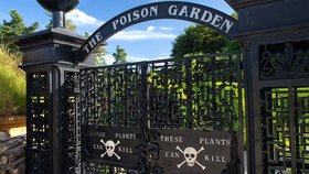 Zahrada v "The Poison Garden" je jedna z nejnebezpečnějších zahrad na světě