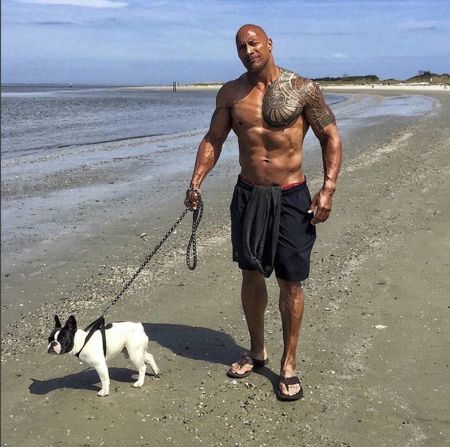 Dwayne Johnson (The Rock)