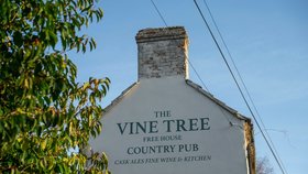 The Vine Tree bar