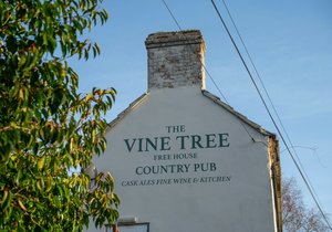 The Vine Tree bar