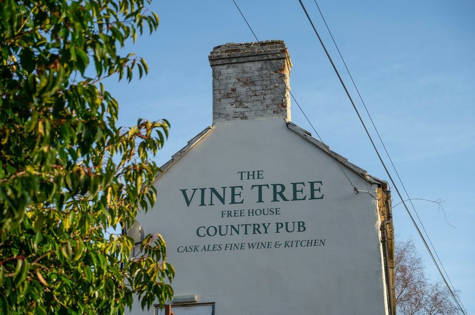 The Vine Tree bar
