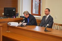 Exprimátora Budějovic poslal soud na 5 let za mříže, má zaplatit 12,5 milionu