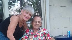 Senior (†70) zemřel po útoku roje agresivních včel, sekal trávník.