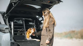 Thule Allax Thule Allax