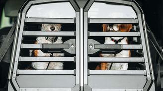 Thule Allax Thule Allax