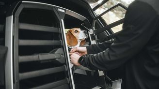 Thule uvádí praktickou dvojklec pro větší psy. Je tichá a plná chytrých detailů Thule uvádí praktickou dvojklec pro větší psy. Je tichá a plná chytrých detailů