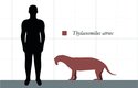 Thylacosmilus atrox byl velký asi jako jaguár a vážil asi 100 kg
