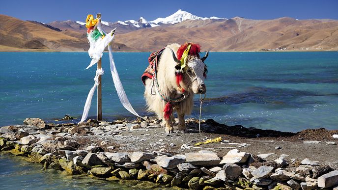 Jezero Jamdrok je jedním z posvátných jezer Tibetu