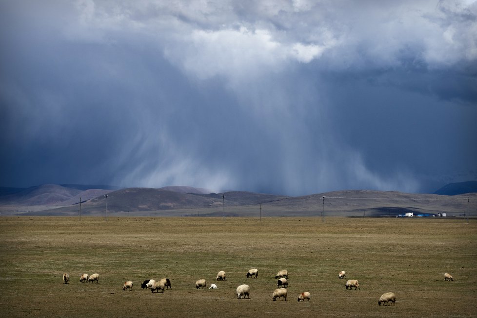 Tradiční tibetská kultura