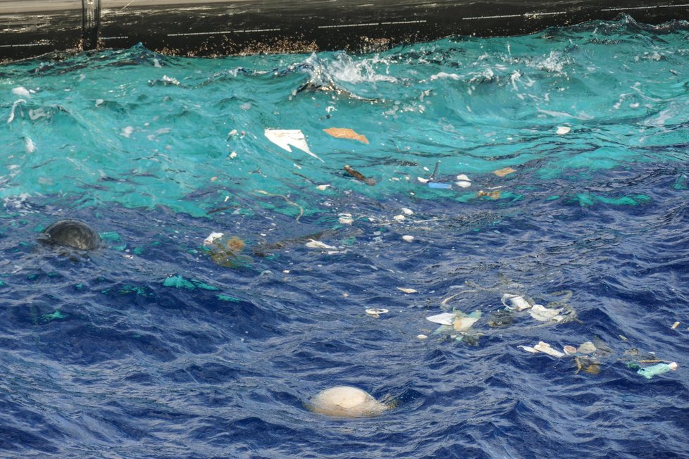 Oceán je plasty zamořen
