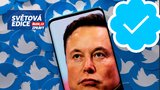 Chaos Elona Muska v čele Twitteru: První dny přinesly propouštění a odvolávání slibů