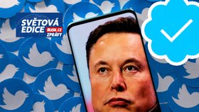 Elon Musk v čele Twitteru.