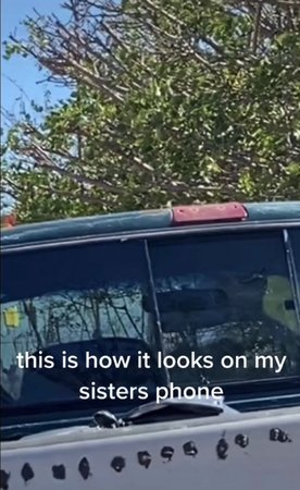 Strašidelný obličej v zadním skle vozidla vyvolal pod videem diskuzi.