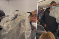 Hrůza na palubě letadla: Cestující vyděsil obrovský pavouk