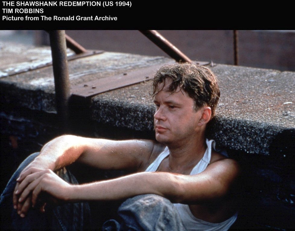 Tim Robbins jako Andy Dufresne