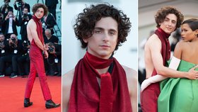 Timothée Chalamet byl na červeném koberci nepřehlédnutelný