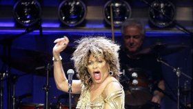 Tina Turner přišla o syna.