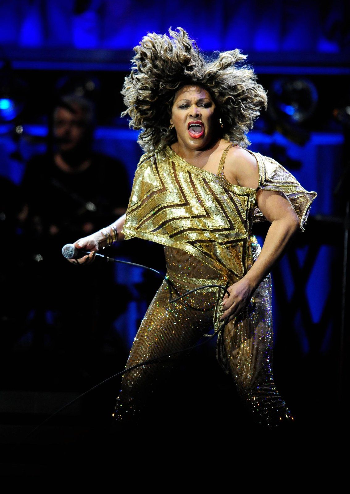 Tina Turner je americká rocková diva.