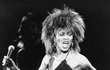 Tina Turner za mlada. 