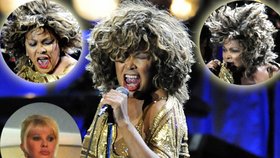 Tina Turner v O2 aréně.