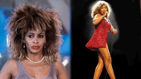 Tina Turner: Prsa jako z mramoru!