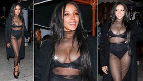 Tinashe v sexy modelu neuhlídala prso