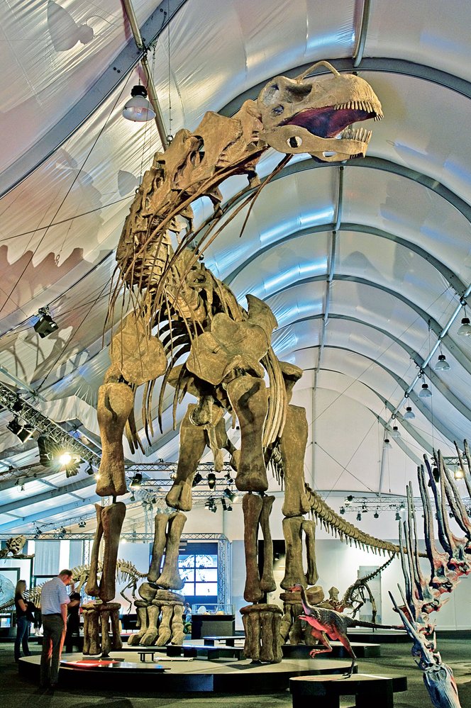 Rekonstrukce kostry argentinosaura, který vážil 96 tun