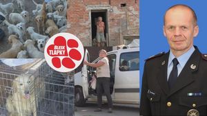 Za množírnu retrívů padlo obvinění. Manželům Růžičkovým hrozí až 10 let vězení Za množírnu retrívů padlo obvinění. Manželům Růžičkovým hrozí až 10 let vězení