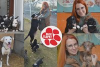 Zvířata z domu hrůzy se zotavují v útulcích. Tyranku už prověřuje policie