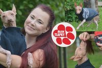 Další pes z problémového chovu: Lemon (9) postupně ochrne! Pomohou Blesk tlapky