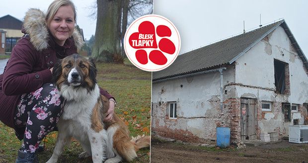 Z vepřína bude azyl pro psy: V útulku Dogsy si můžete adoptovat i kozu nebo berana