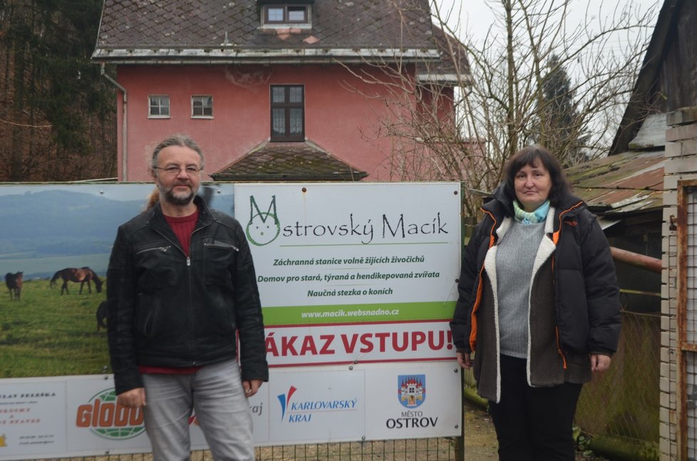 Ostrovský macík se stará o stará, opuštěná i hendikepovaná zvířata