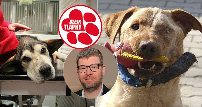 „Když to prošlo, otevřel jsem láhev.“ Pospíšil poděkoval Blesku za boj proti týrání zvířat.