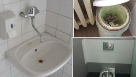 Zápach, chybějící papír nebo mýdlo: Průzkum záchodů pražských nemocnic
