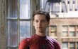 Tobey Maguire alias Spider-Man.