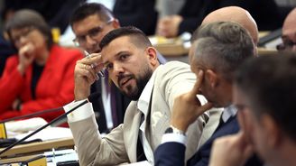 AfD dosáhla v Německu dalšího průlomu. Poprvé ovládla vedení zemského parlamentu AfD dosáhla v Německu dalšího průlomu. Poprvé ovládla vedení zemského parlamentu