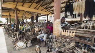 Fetiš tržiště v Lomé: Místo, kde stále žije dávná tajemná magie