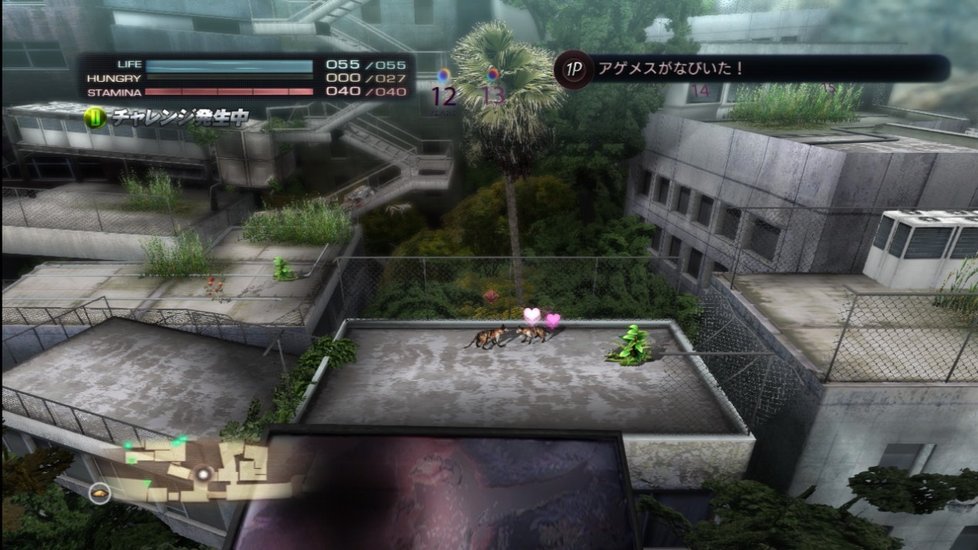 Celá hra se odehrává v rozpadlém Tokiu, které je rozděleno do několika čtvrtí