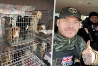 Veterán Tom zachraňuje mazlíčky z okupovaných měst. Za hranice dostal přes 700 psů a koček