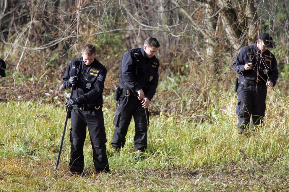 Policisté museli pole u Číčovic důkladně prohledávat, aby nalezli všechny části dívčina těla...