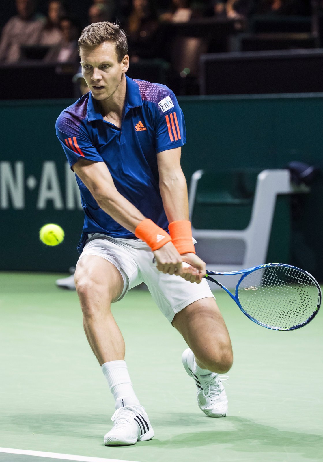 Tomáš Berdych